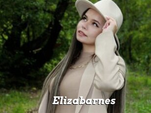 Elizabarnes