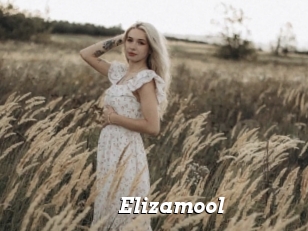 Elizamool