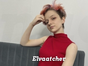 Elvaatcher