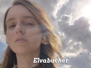 Elvabucher