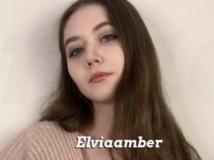 Elviaamber