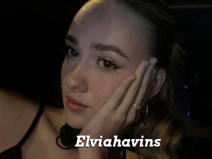 Elviahavins