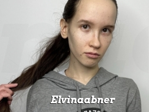 Elvinaabner