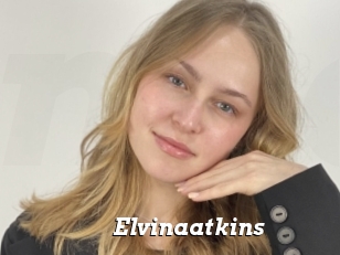 Elvinaatkins