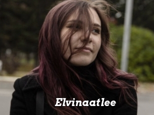 Elvinaatlee