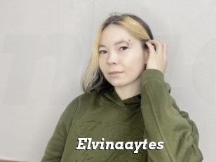 Elvinaaytes