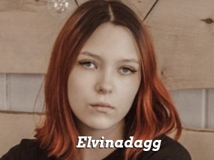 Elvinadagg