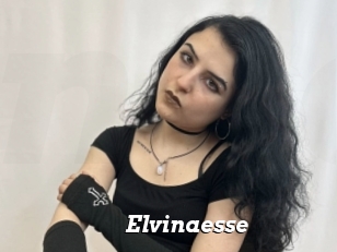 Elvinaesse