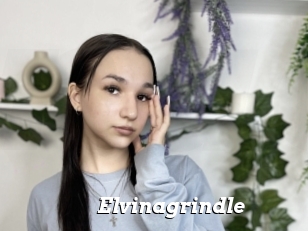 Elvinagrindle