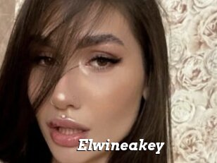 Elwineakey