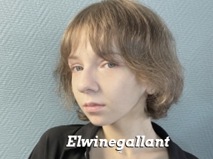 Elwinegallant