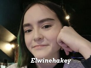 Elwinehakey