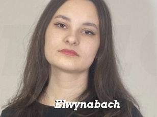 Elwynabach