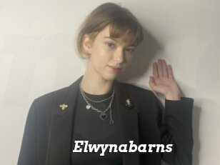 Elwynabarns