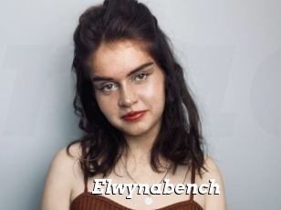 Elwynabench