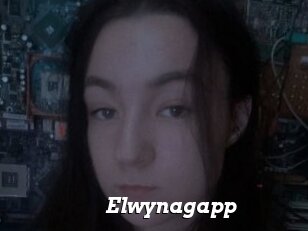 Elwynagapp