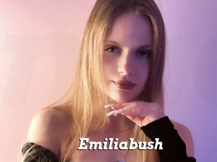 Emiliabush