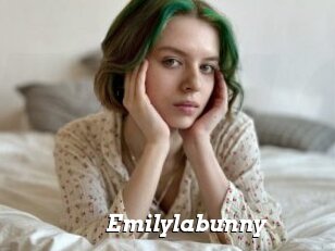 Emilylabunny