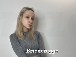 Erlenebigge