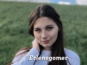 Erlenegomer