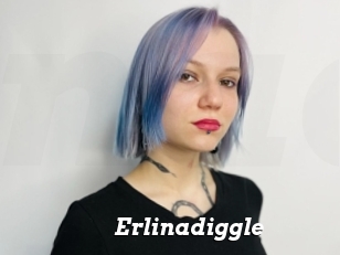 Erlinadiggle