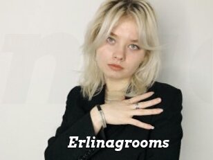 Erlinagrooms