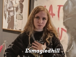 Esmagledhill