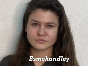 Esmehandley