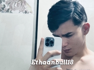 Ethaanbull18