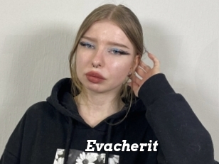 Evacherit