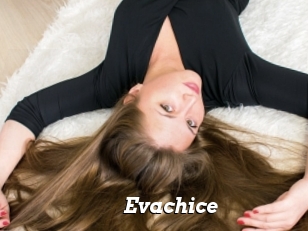 Evachice