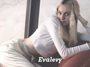 Evalevy