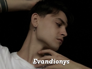 Evandionys