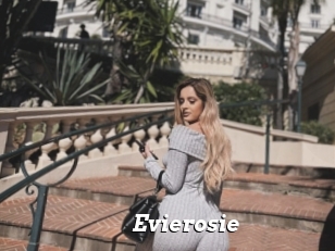 Evierosie