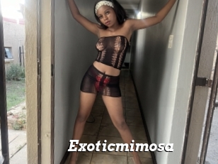 Exoticmimosa