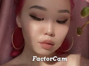 FactorCam