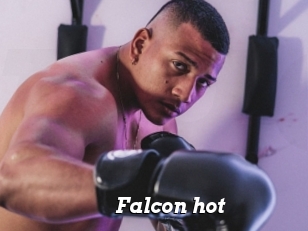 Falcon_hot