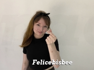 Felicebisbee