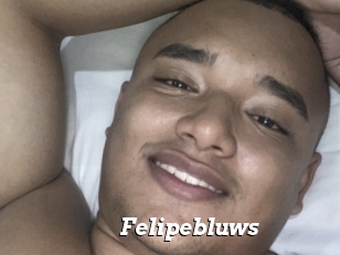 Felipebluws