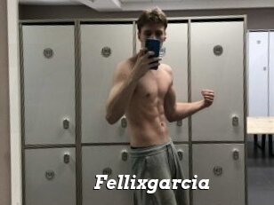 Fellixgarcia