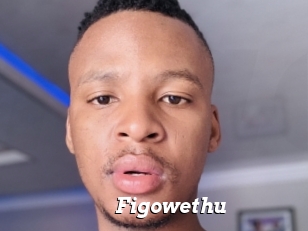 Figowethu