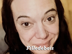 Filledebois