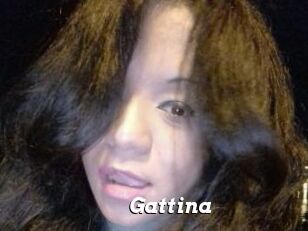 Gattina