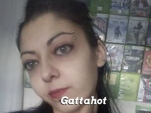 Gattahot