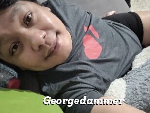 Georgedammer