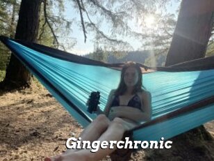 Gingerchronic