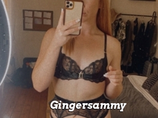 Gingersammy