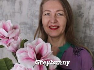 Greybunny