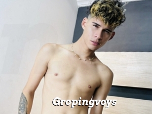 Gropingvoys