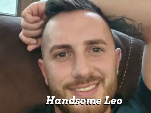 Handsome_Leo